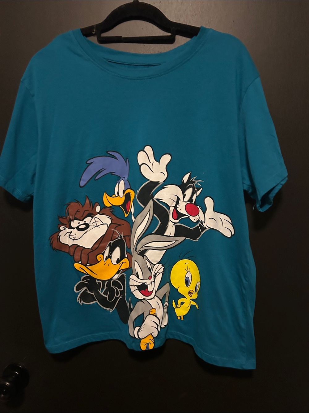 Kids Looney Tunes Graphic Tee in Teal